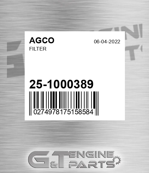 25-1000389 Filter for AGCO