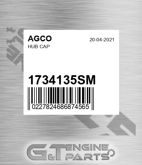 1734135SM AGCO Hub Cap