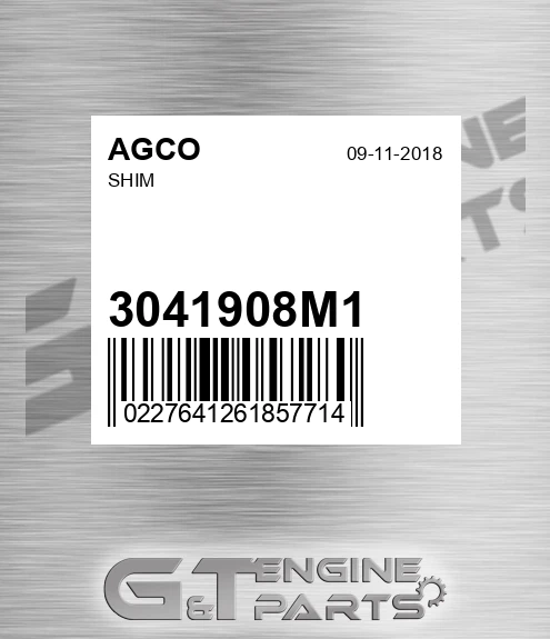 3041908M1 Shim for AGCO