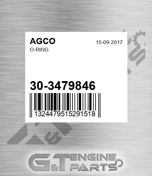 30-3479846 O-ring for AGCO