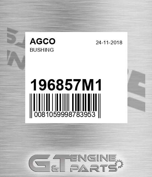 196857M1 Bushing for AGCO