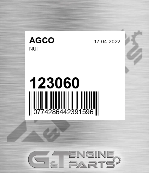 123060 AGCO Nut
