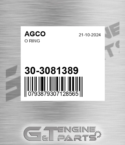30-3081389 O Ring for AGCO