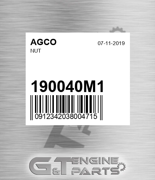 190040M1 Nut for AGCO