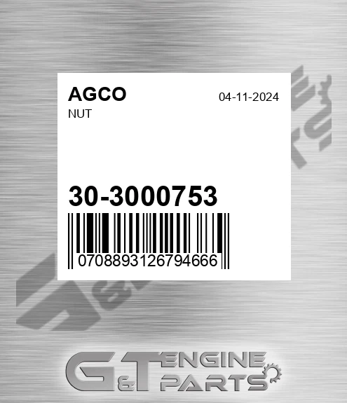 30-3000753 Nut for AGCO