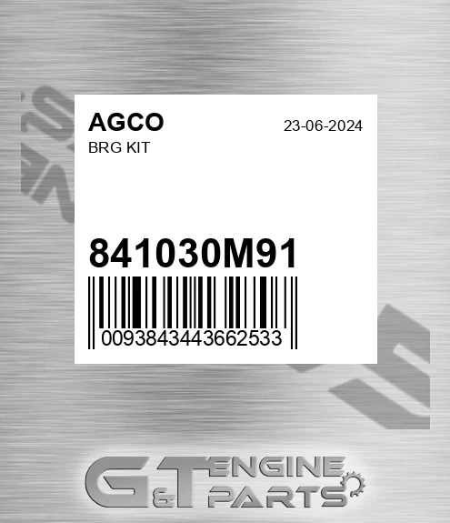 841030M91 Brg Kit