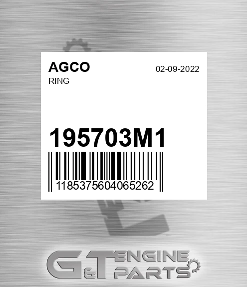 195703M1 Ring for AGCO