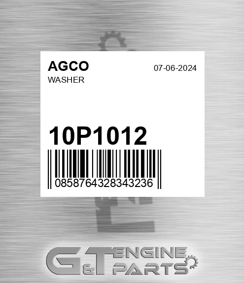 10P1012 AGCO Washer