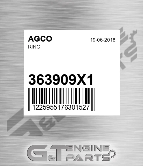 363909X1 Ring for AGCO
