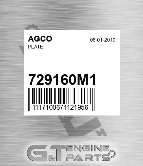 729160M1 Plate