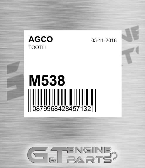 M538 Tooth