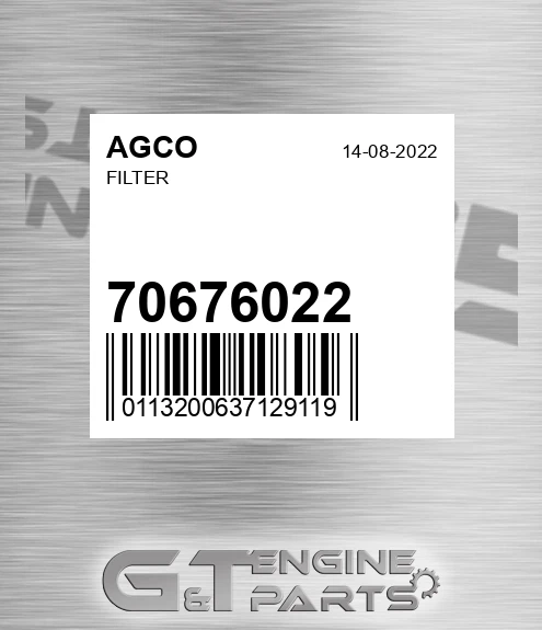 70676022 Filter for AGCO