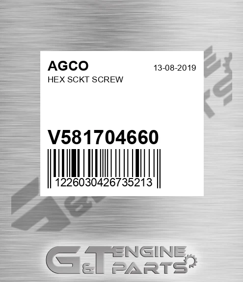 V581704660 Hex Sckt Screw