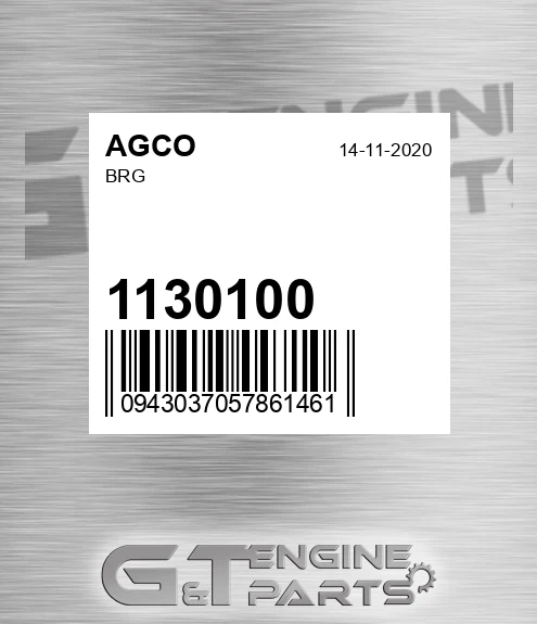 1130100 AGCO Brg