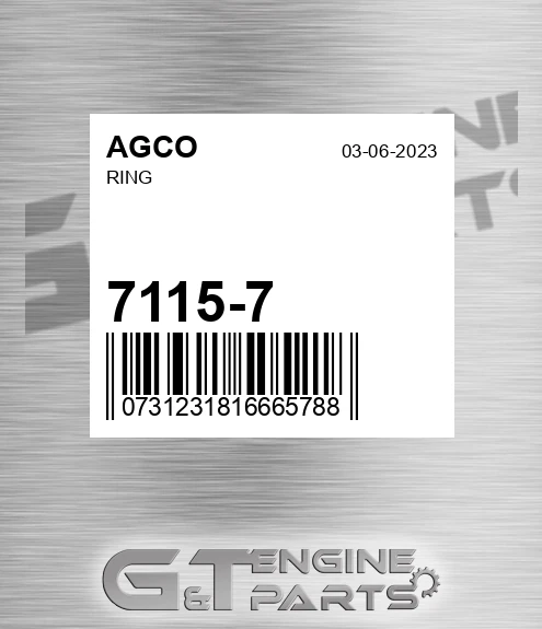 7115-7 Ring for AGCO