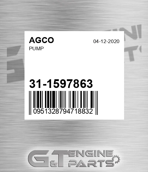 31-1597863 Pump for AGCO
