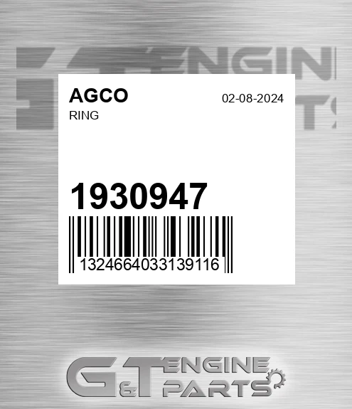 1930947 Ring for AGCO