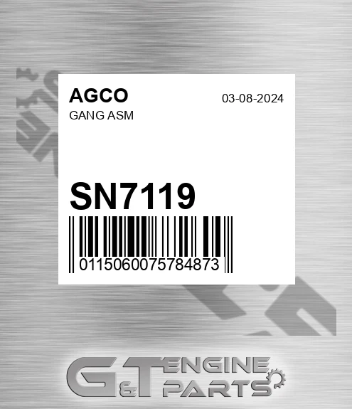 SN7119 AGCO Gang Asm
