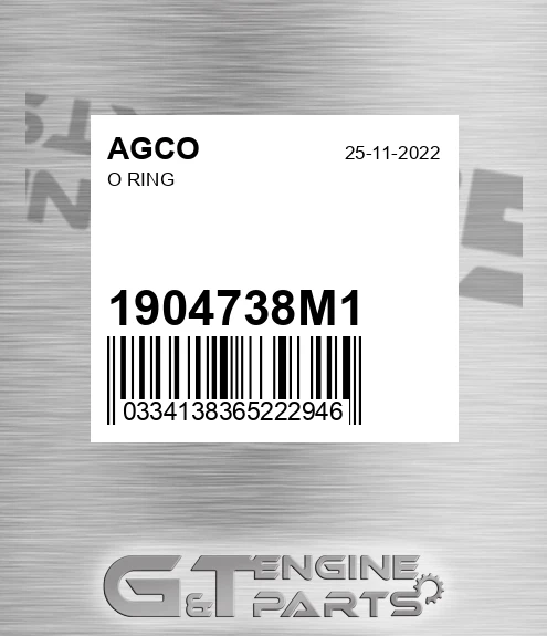 1904738M1 O Ring for AGCO