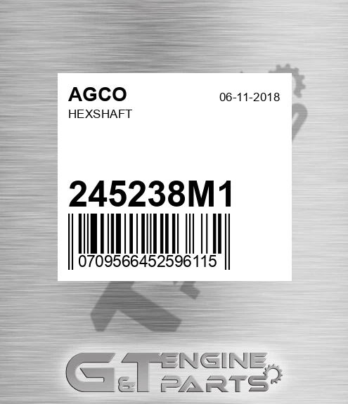 245238M1 AGCO Hexshaft