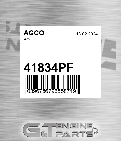 41834PF Bolt