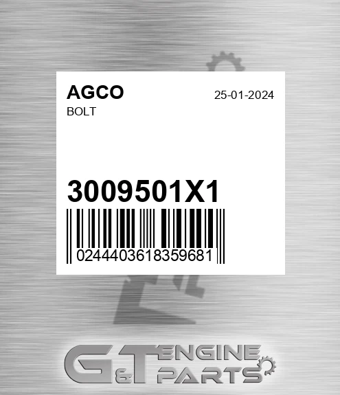3009501X1 AGCO Bolt