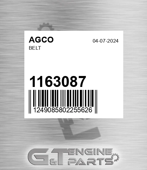 1163087 Belt