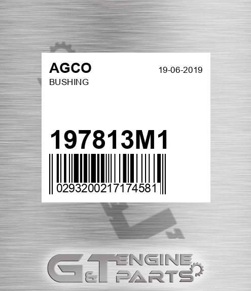 197813M1 Bushing for AGCO