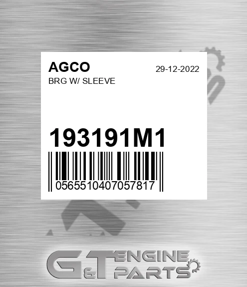 193191M1 Brg W/ Sleeve for AGCO