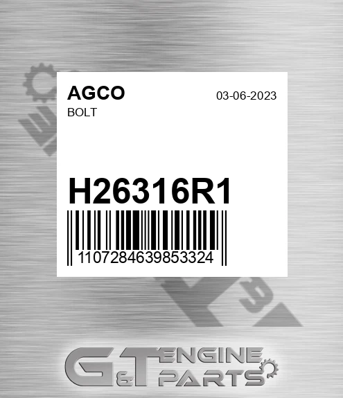 H26316R1 AGCO Bolt