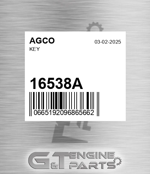 16538A Key for AGCO