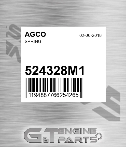 524328M1 AGCO Spring