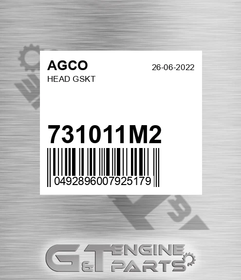 731011M2 AGCO Head Gskt