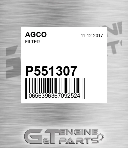 P551307 Filter for AGCO
