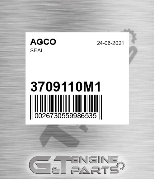 3709110M1 Seal for AGCO