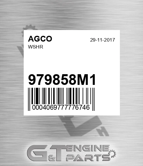 979858M1 Wshr for AGCO
