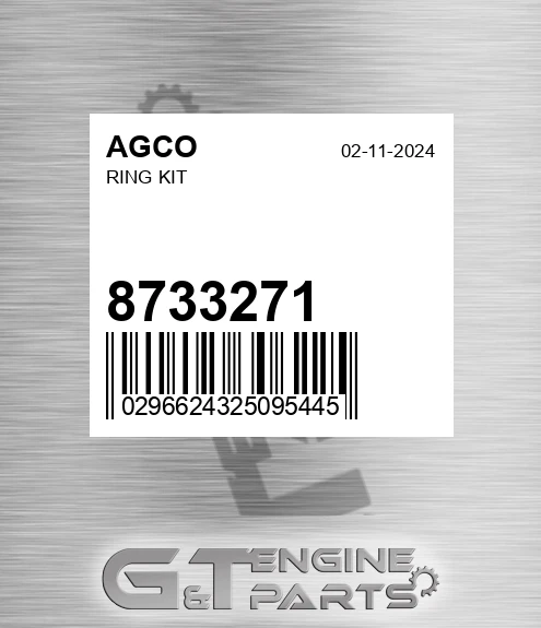 8733271 AGCO Ring Kit