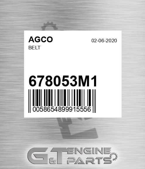 678053M1 AGCO Belt