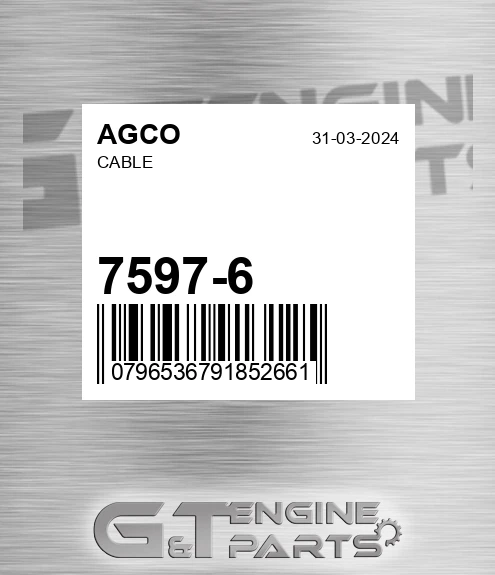 7597-6 Cable