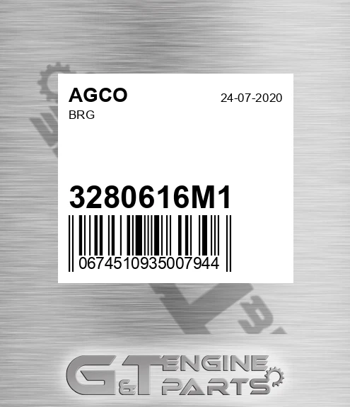 3280616M1 Brg for AGCO