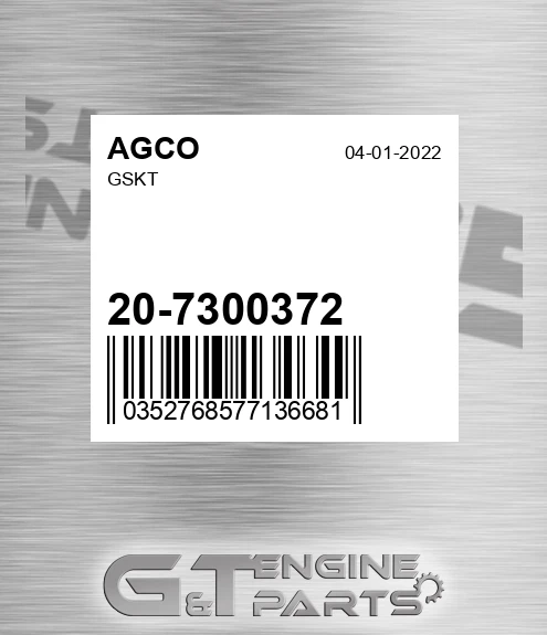 20-7300372 Gskt for AGCO