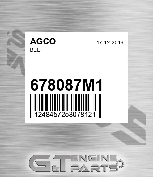 678087M1 AGCO Belt