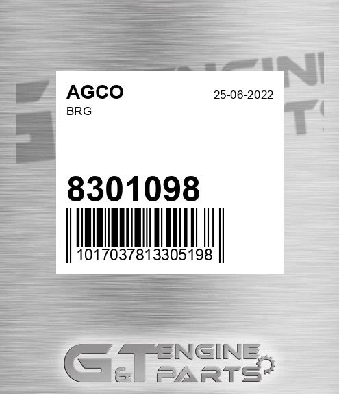 8301098 AGCO Brg