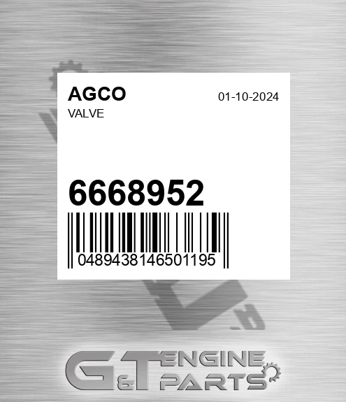 6668952 AGCO Valve