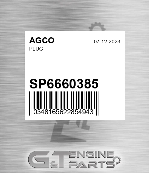 SP6660385 AGCO Plug