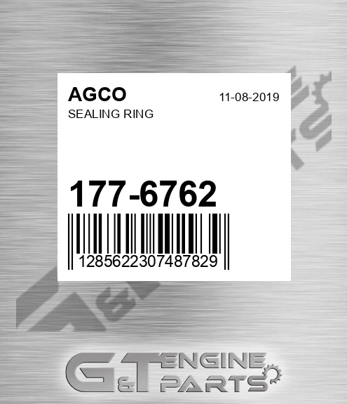177-6762 Sealing Ring for AGCO