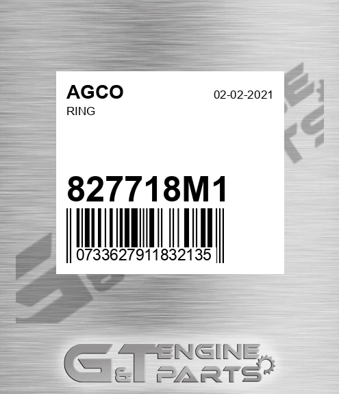 827718M1 AGCO Ring