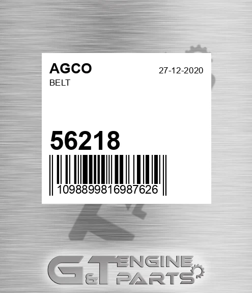 56218 Belt