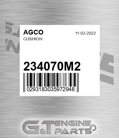 234070M2 AGCO Cushion