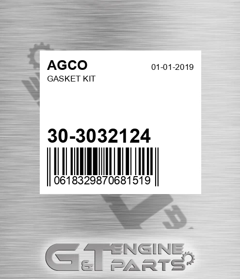 30-3032124 Gasket Kit for AGCO